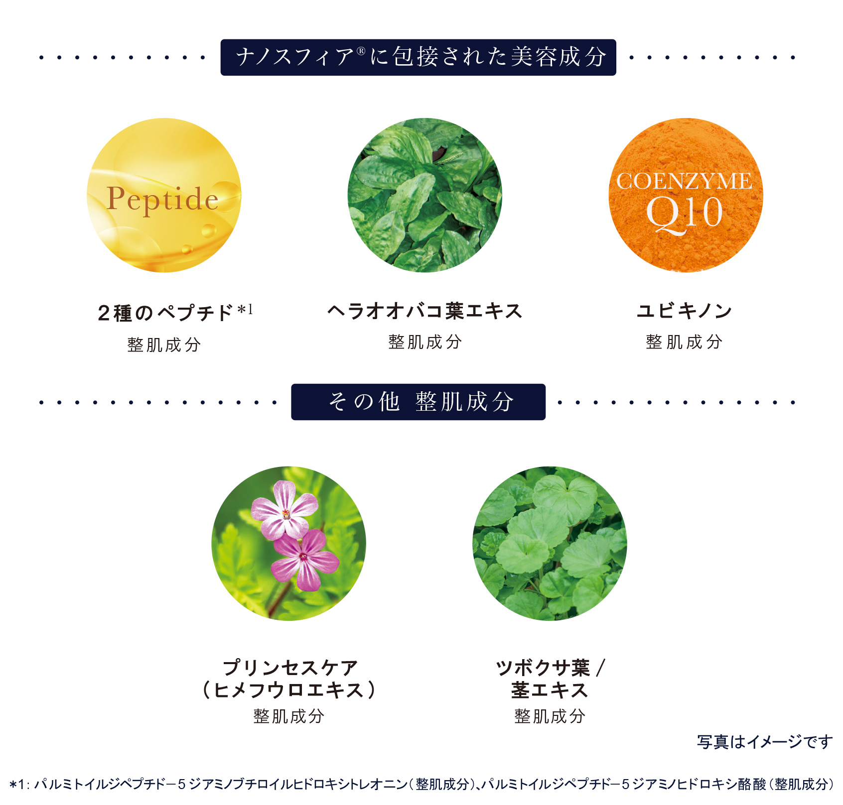 ナノスフィアに包接された美容成分 Peptide COENZYME 010 2種のペプチド*1 整肌成分 ヘラオオバコ葉エキス 整肌成分 ユビキノン 整肌成分 その他整肌成分 プリンセスケア （ヒメフウロエキス） 整肌成分 ツボクサ葉/ 茎エキス 整肌成分 写真はイメージです *1： パルミトイルジペプチドー5ジアミノブチロイルヒドロキシトレオニン（整肌成分）、パルミトイルジペプチドー5ジアミノヒドロキシ酪酸（整肌成分）