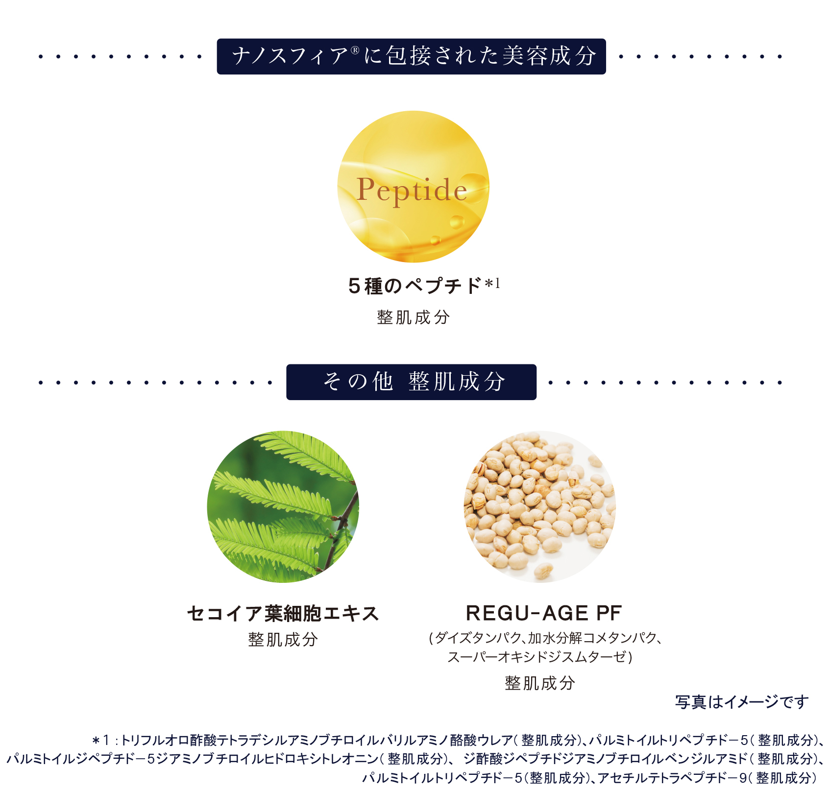 ナノスフィアに包接された美容成分 Peptide 6種のペプチド ＊1 整肌成分 その他 整肌成分 セコイア葉細胞エキス 整肌成分 REGU-AGE PF （ダイズタンパク、加水分解コメタンパク、スーパーオキシドジスムターゼ）整肌成分 写真はイメージです *1：トリフルオロ酢酸テトラデシルアミノブチロイルバリルアミノ酪酸ウレア（肌成分）、パルミトイルトリペプチドー5（肌成分）、パルミトイルジペプチドー5ジアミノブチロイルヒドロキシトレオニン（肌成分）、ジ酢酸ジペプチドジアミノブチロイルベンジルアミド（軽肌成分）、パルミトイルトリペプチドー5（肌成分）、アセチルテトラペプチドー9（整肌成分）